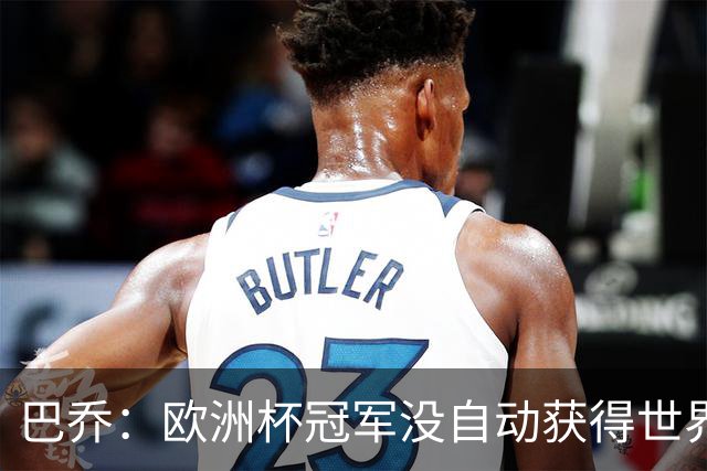 巴乔：欧洲杯冠军没自动获得世界杯资格 这是耻辱